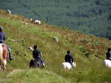 Scotland-Argyle-Rob Roy Trail